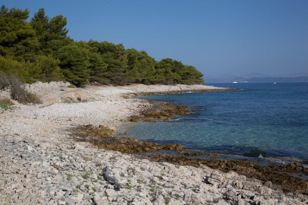 Villa Dinka Sutivan Oda fotoğraf
