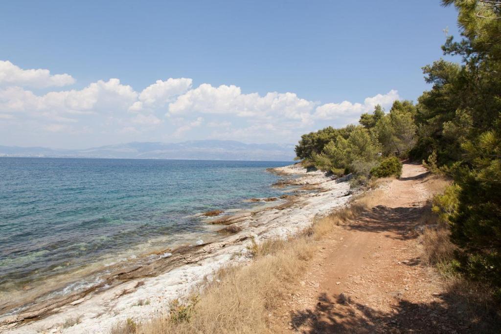 Villa Dinka Sutivan Oda fotoğraf